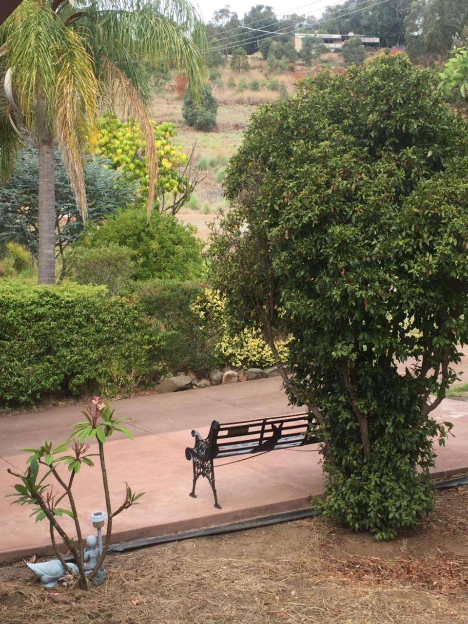 Bright & Beautiful Home On The Hills! Kelmscott المظهر الخارجي الصورة