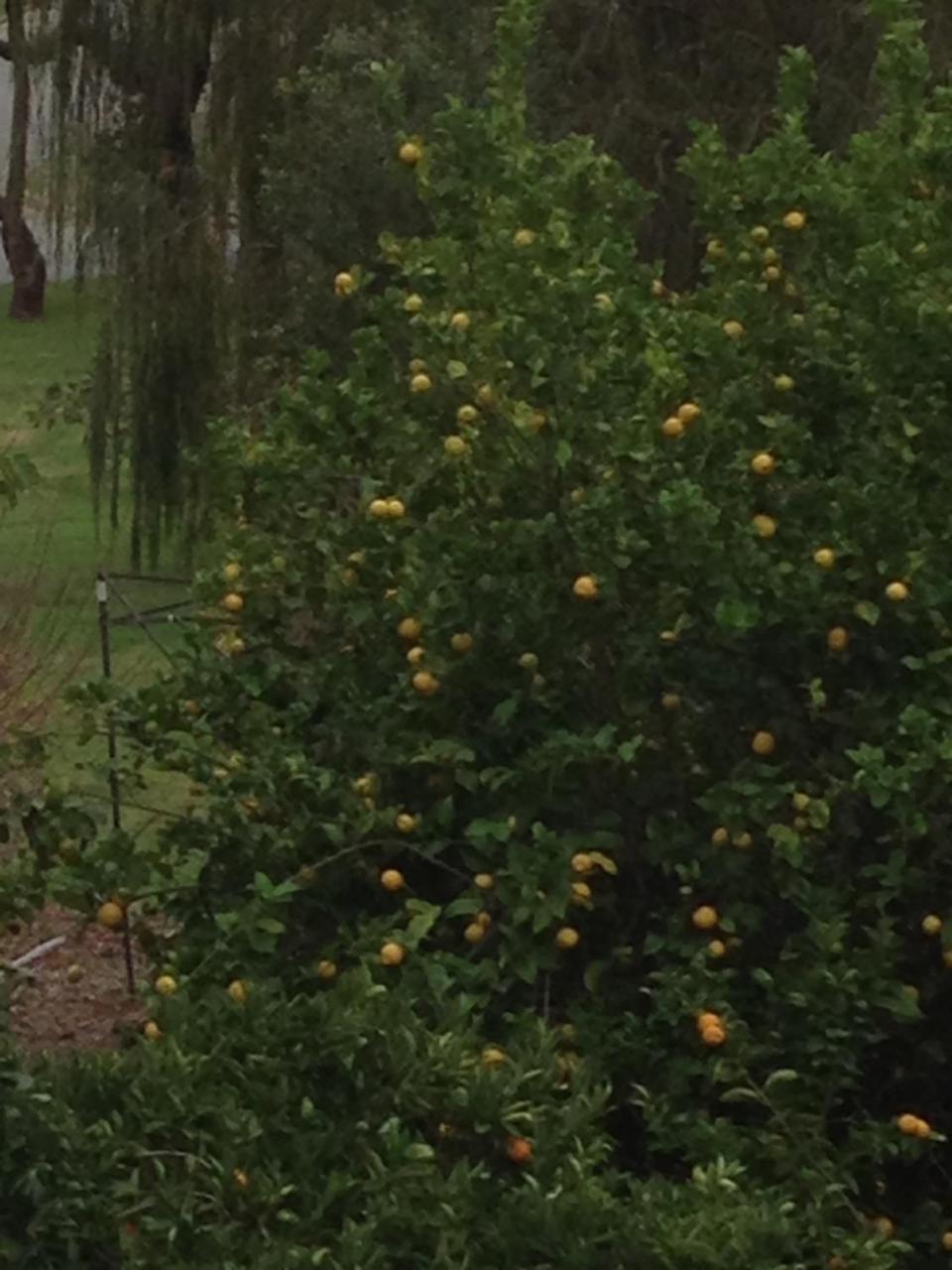 Bright & Beautiful Home On The Hills! Kelmscott المظهر الخارجي الصورة